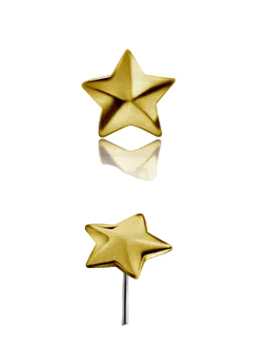 18kt Yellow Gold Raised Star