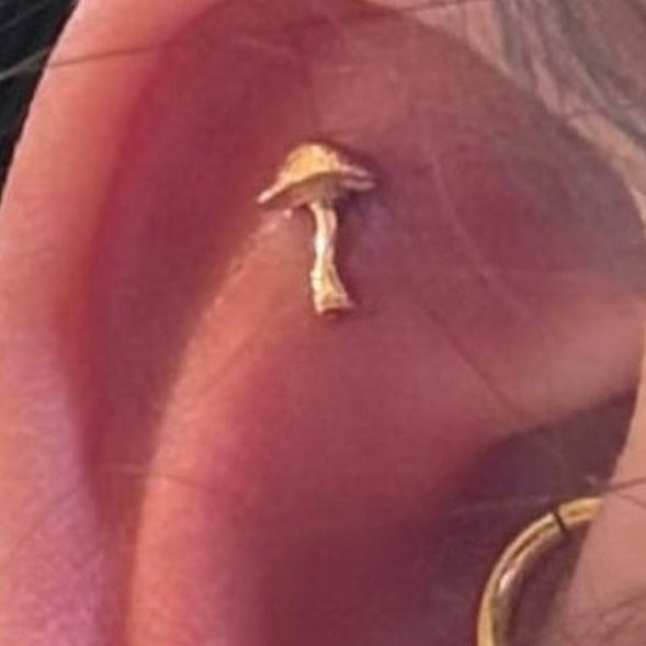 Close-up of an ear with gold and diamond earrings.