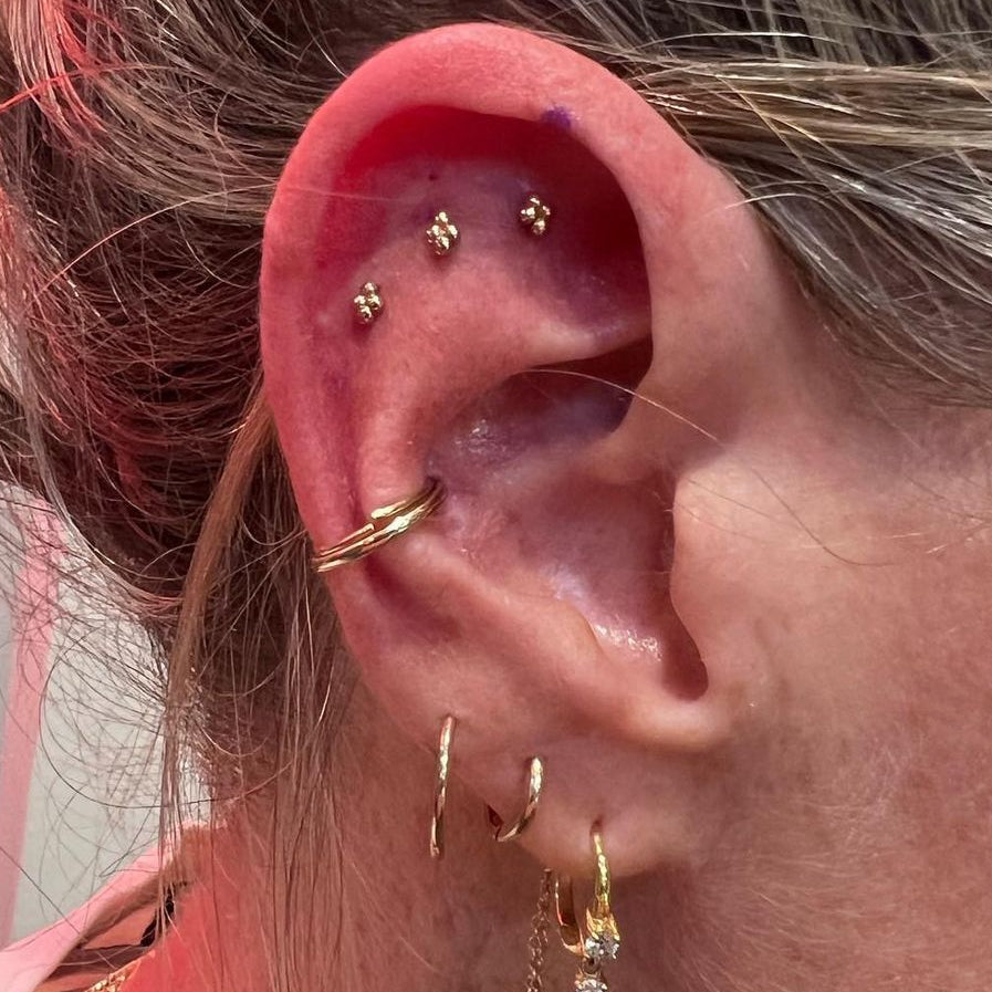 Close-up of an ear with multiple gold earrings against a blurred background
