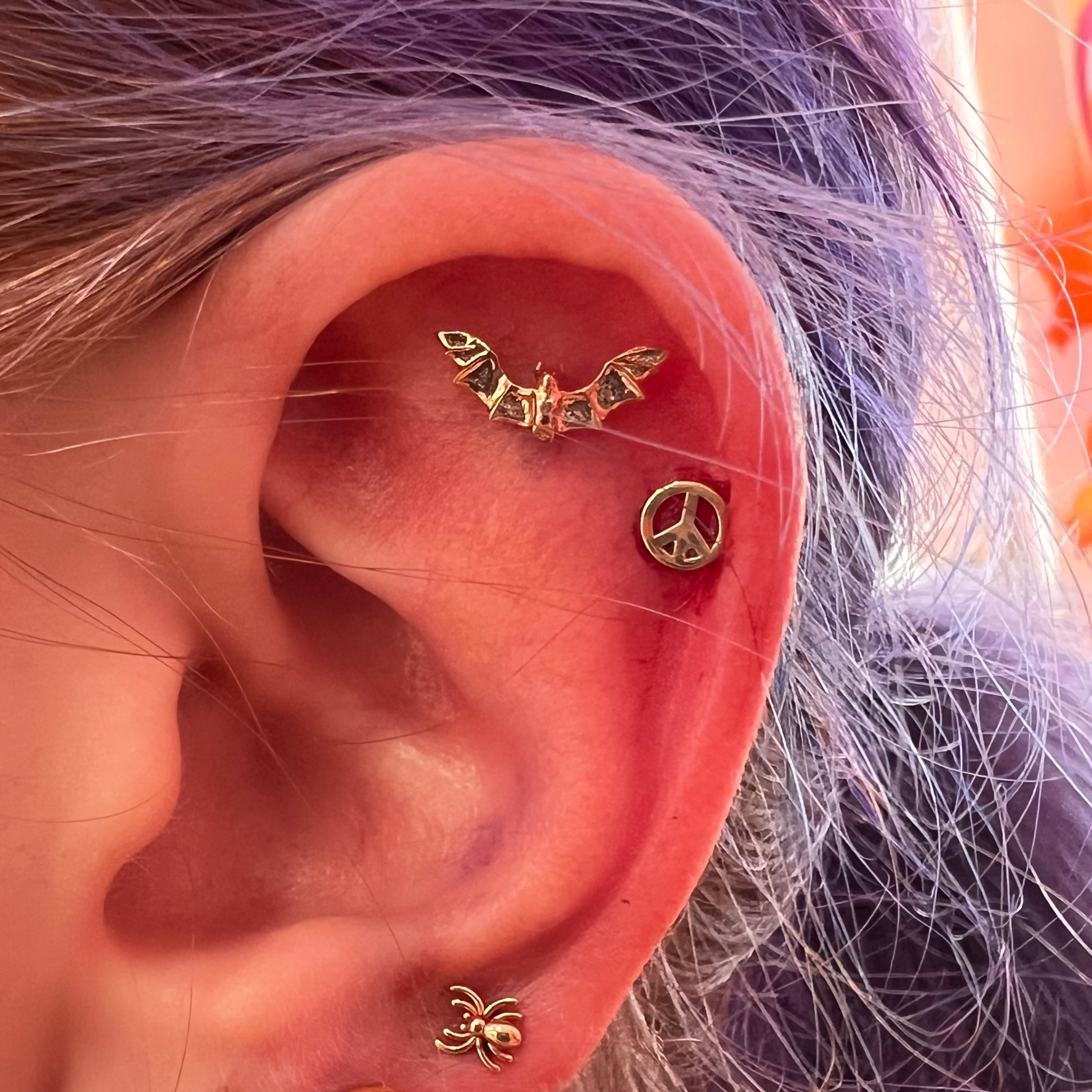 Close-up of an ear with gold earrings and hair with purple and blonde colors.
