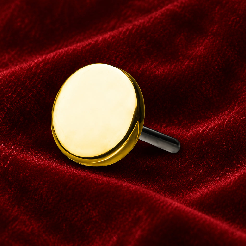 14kt Yellow Gold Disk- Anatometal